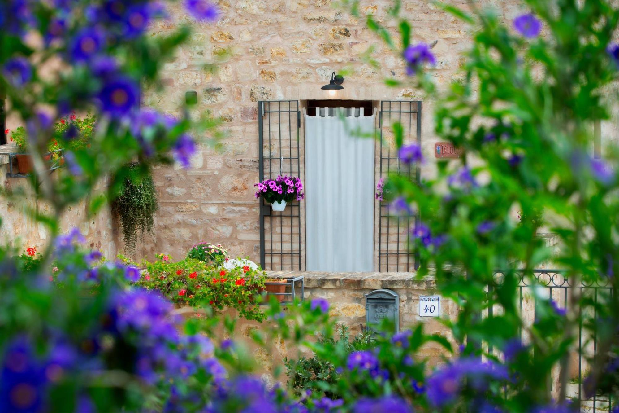 Le Terrazze Di Cancellara Foligno Bagian luar foto